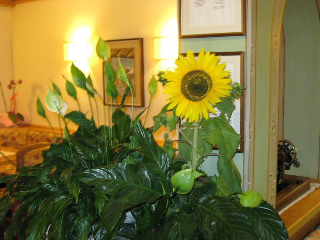 Albergo Villa Cristina Folgaria Exterior foto